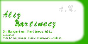 aliz martinecz business card
